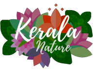 Logo Kerala